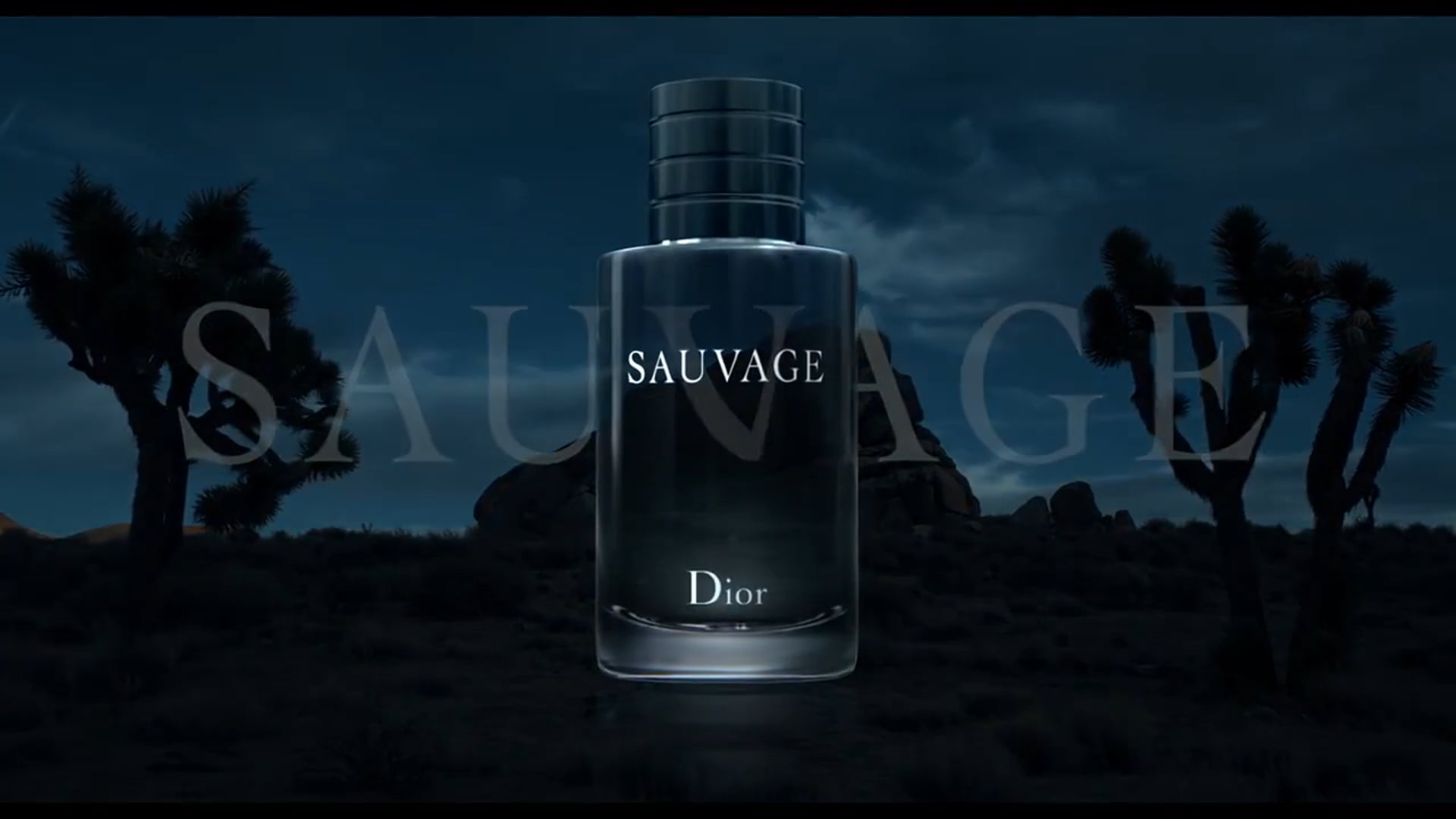 Dior 'Sauvage'