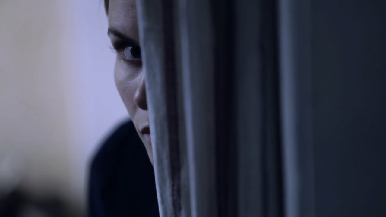 History Channel Recreation Montage