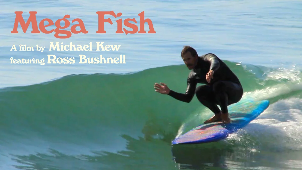 Mega fish deals surfboard