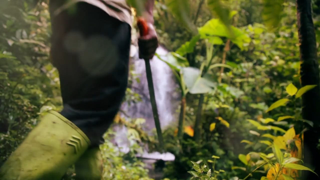 A Film about Coffee and Conservation