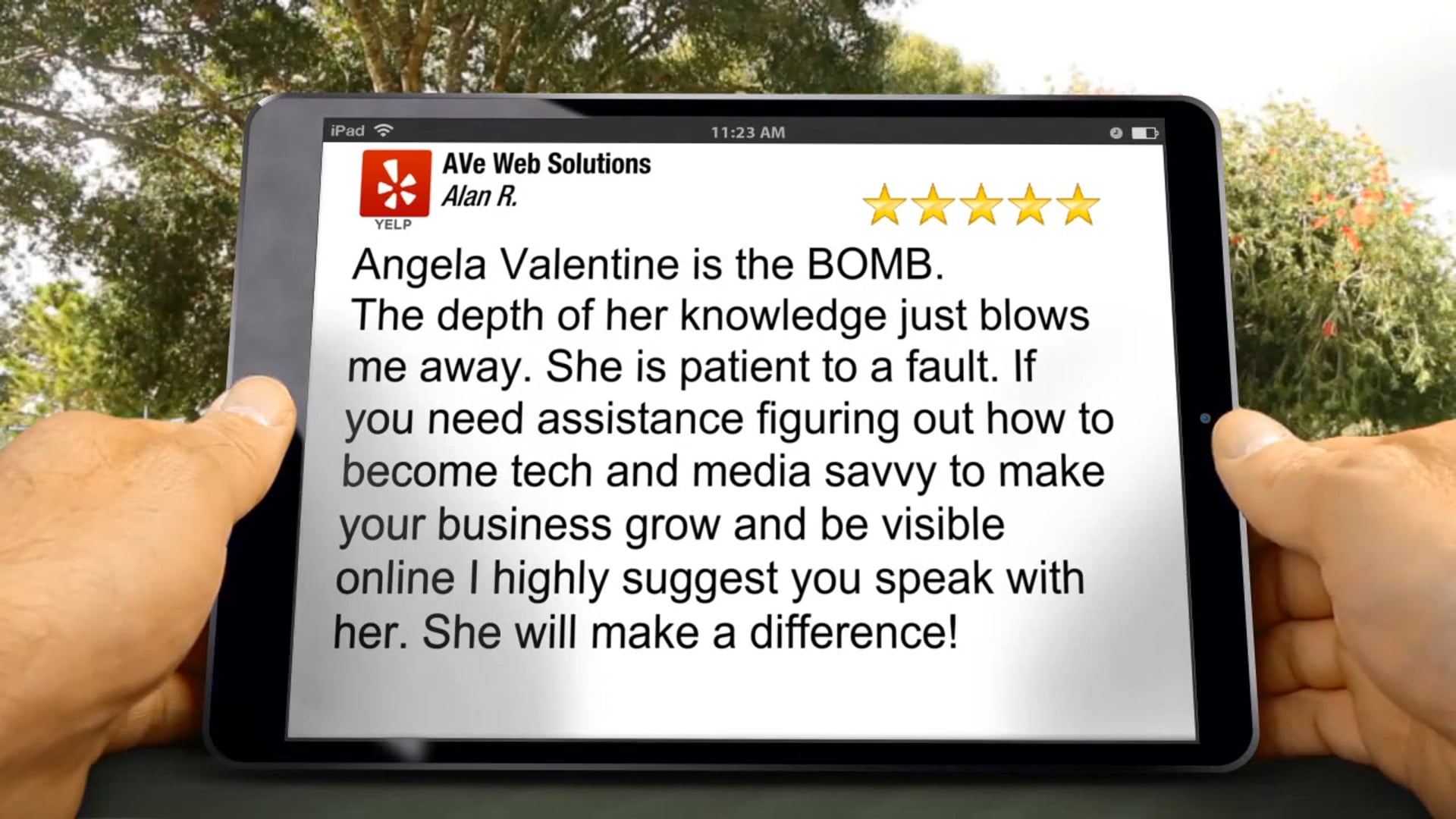 AVé Web Solutions Review