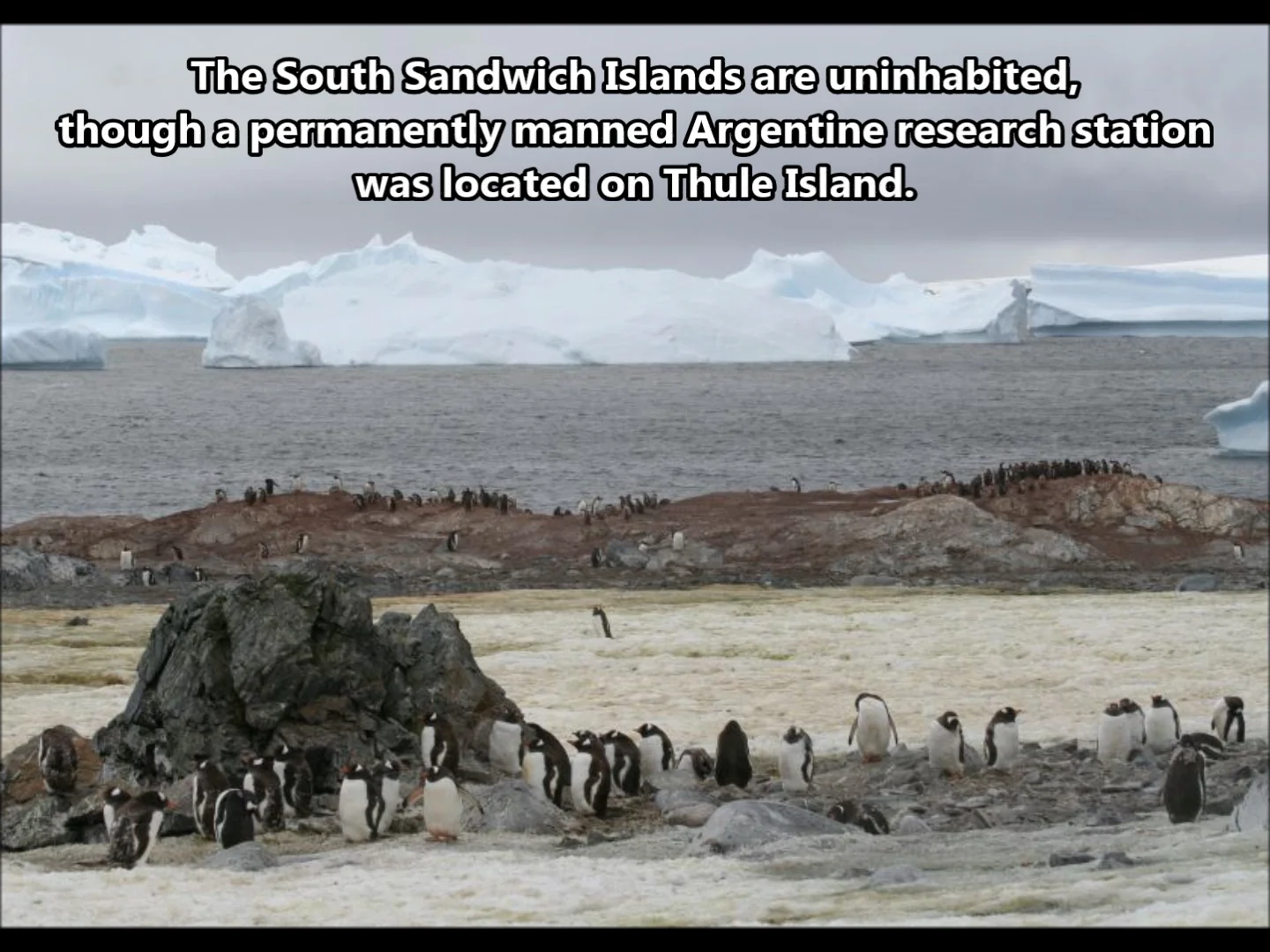 VP8STI South Sandwich Islands Southern Thule Island. From dxnews