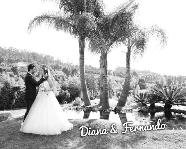 Diana + Fernando :: Same Day Edit