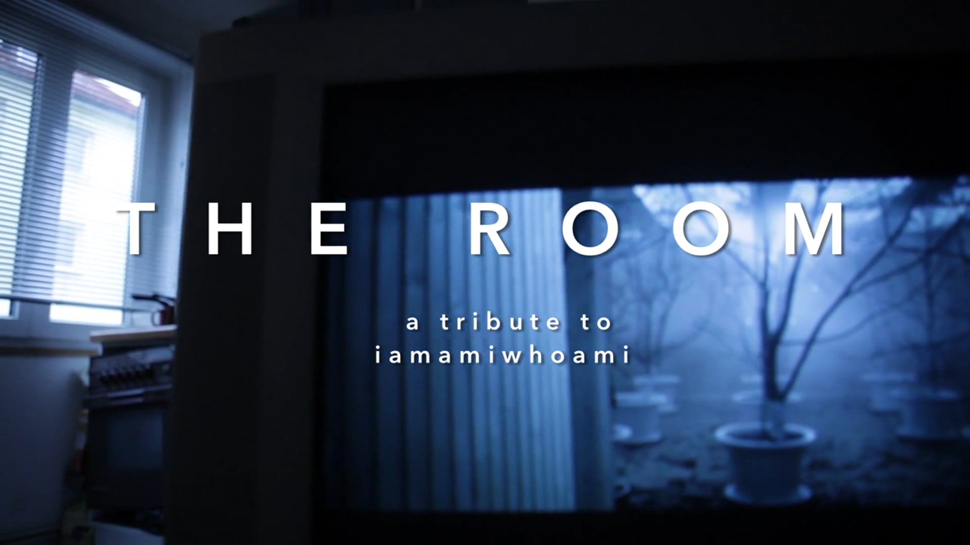 THE ROOM