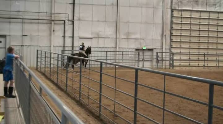 CAHC Fall Show Training Tack: Sally Randle on Boisterous BF on Vimeo