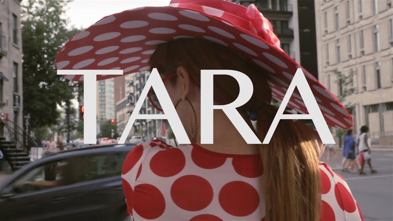 Trailer on Vimeo