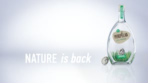 Perepelka Vodka Campaign