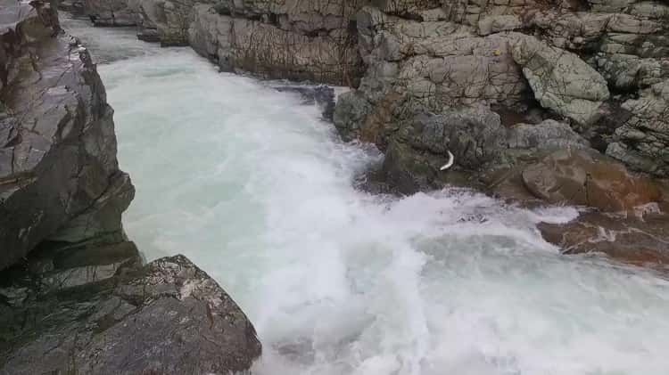 Stamp falls, Port Alberni. The end show the salmon on the salmon cam!
