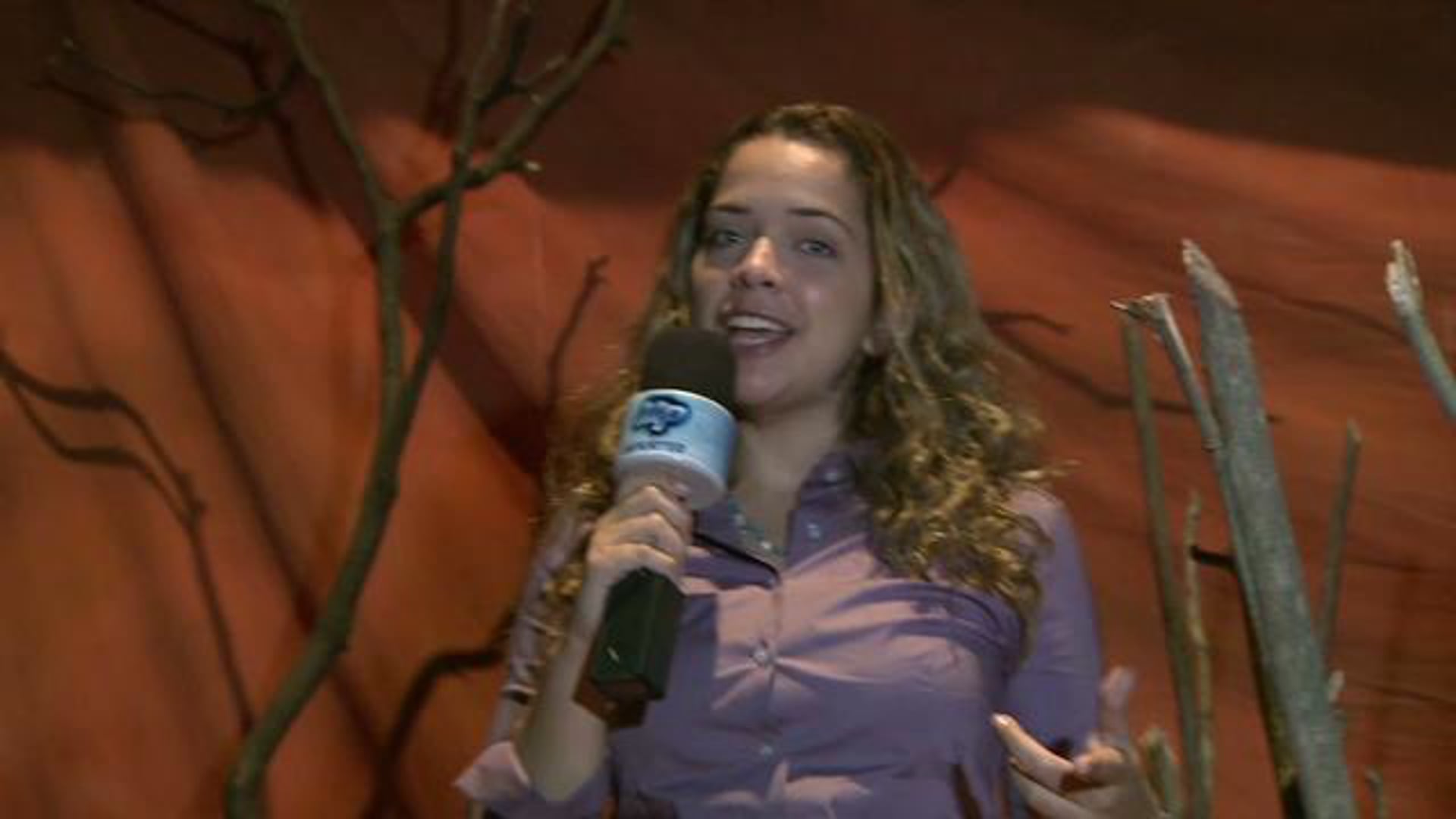 Ariano - Sergipe 2010