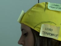 INCIDENTI E TRAUMI ALLA TESTA: GLI EFFETTI SUL CERVELLO