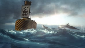 WWF - Celtic Seas