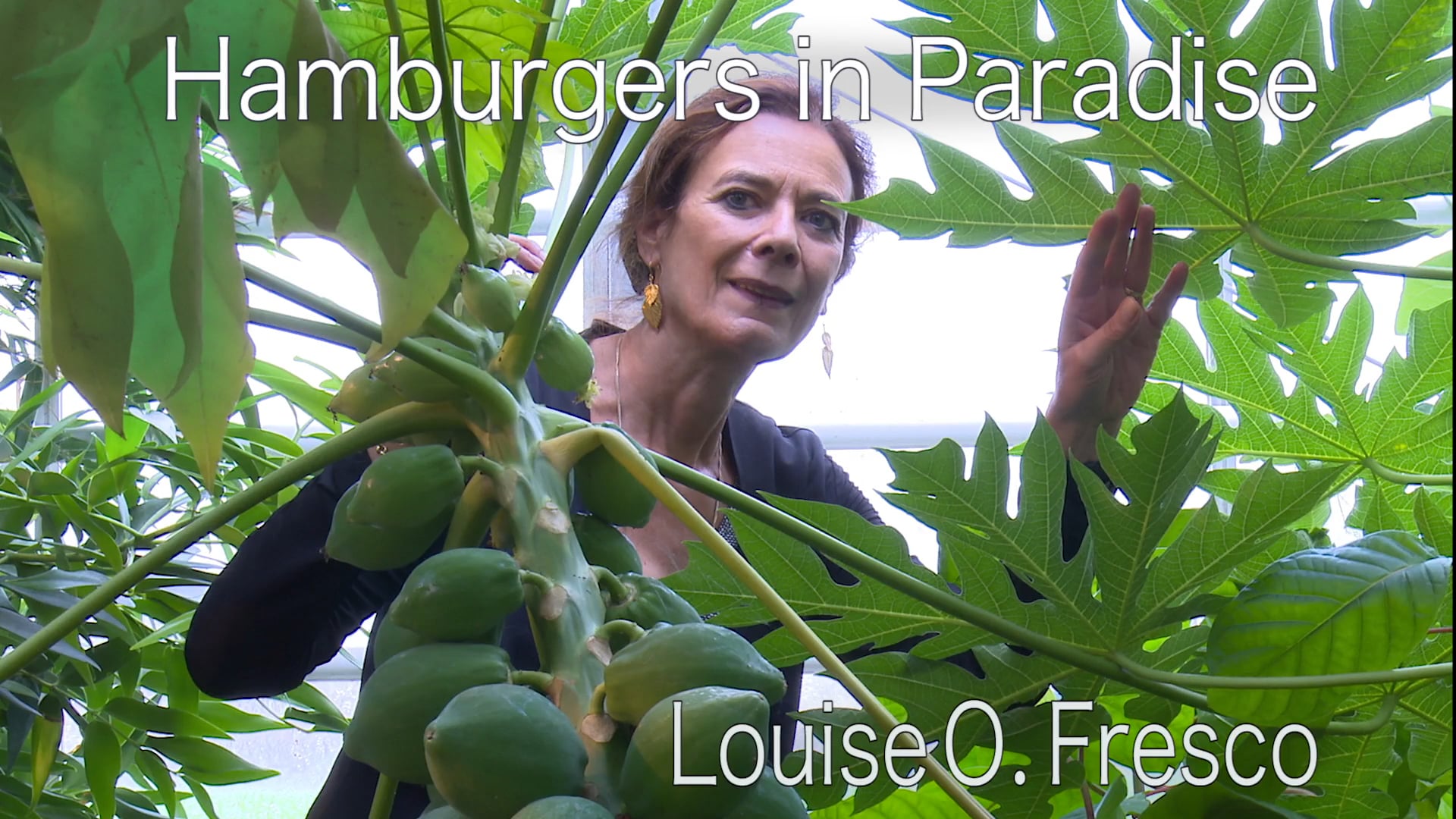 Hamburgers in Paradise: The Stories behind the Food We Eat - Louise O.  Fresco