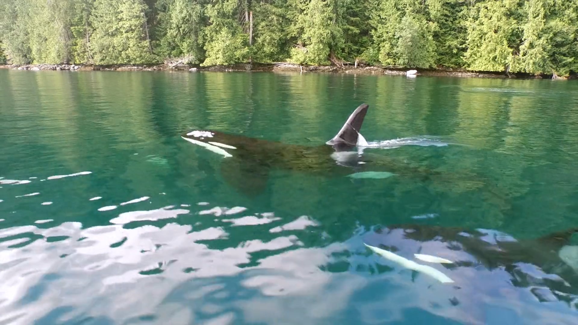 An Ode to British Columbia
