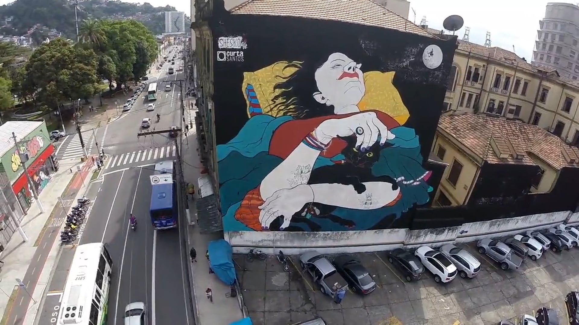 Curta Santos 2015 - Grafite Shesko