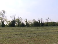 COSTABISSARA SALVERA' VICENZA