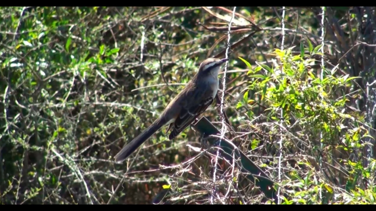 TierraAlta, Comarca serrana, Córdoba