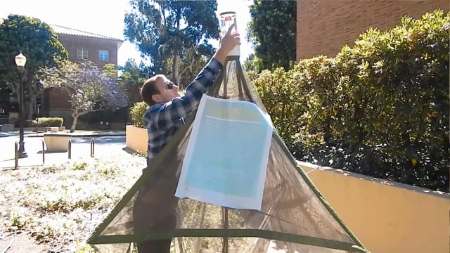 Studying Biodiversity on UCLA’s campus