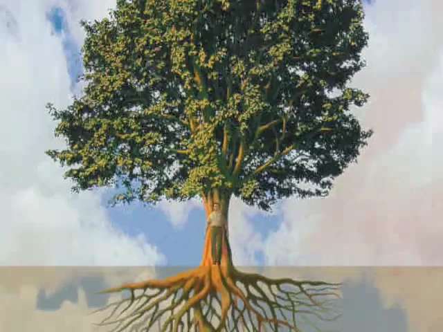 Рассмотрите дерево поближе и вы заметите. Медитация дерево. Дерево с мощными корнями и кроной. Дерево жизни медитация. Дерево мощная энергия картина.