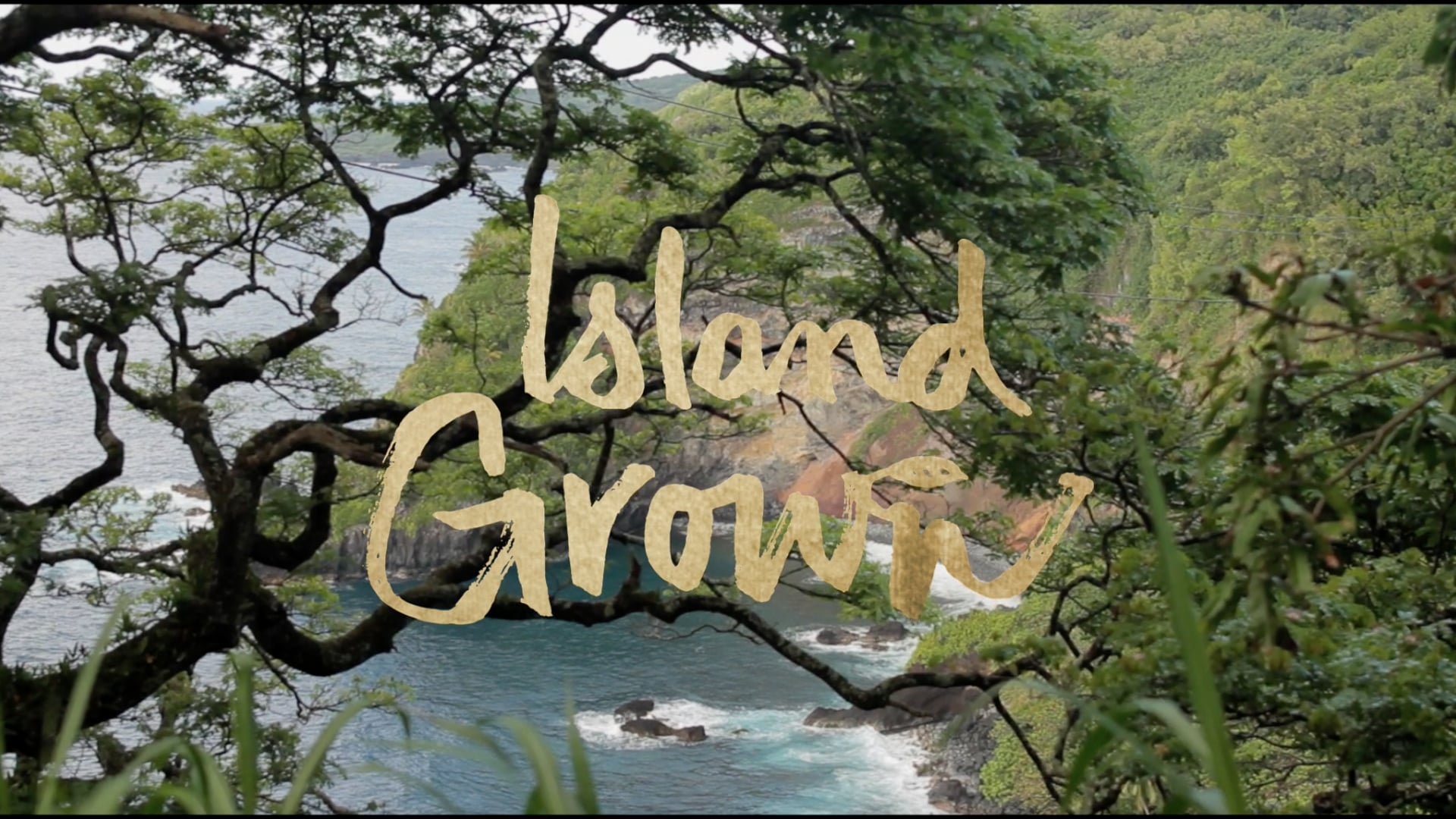 ISLAND GROWN