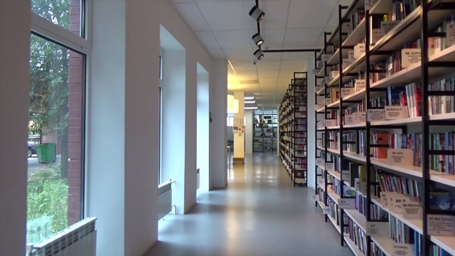 Library, Books, The Corridor, Window