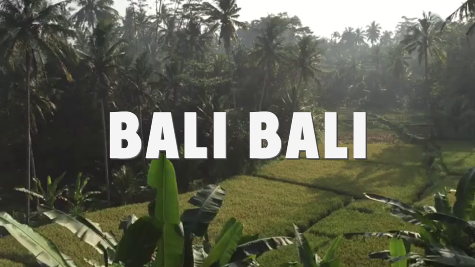 BALI BALI