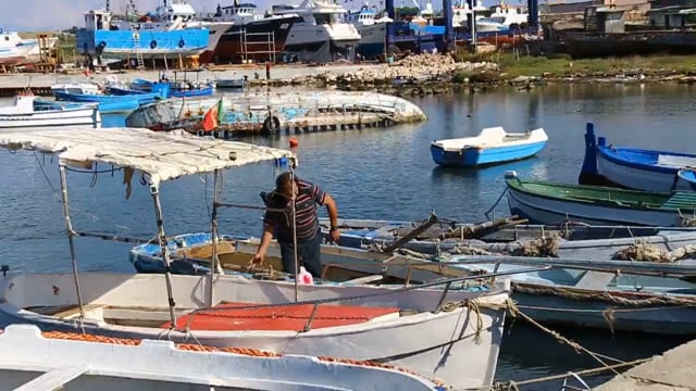 Glimpses at the Dock - Water, Boats, Fishermen, & Fish