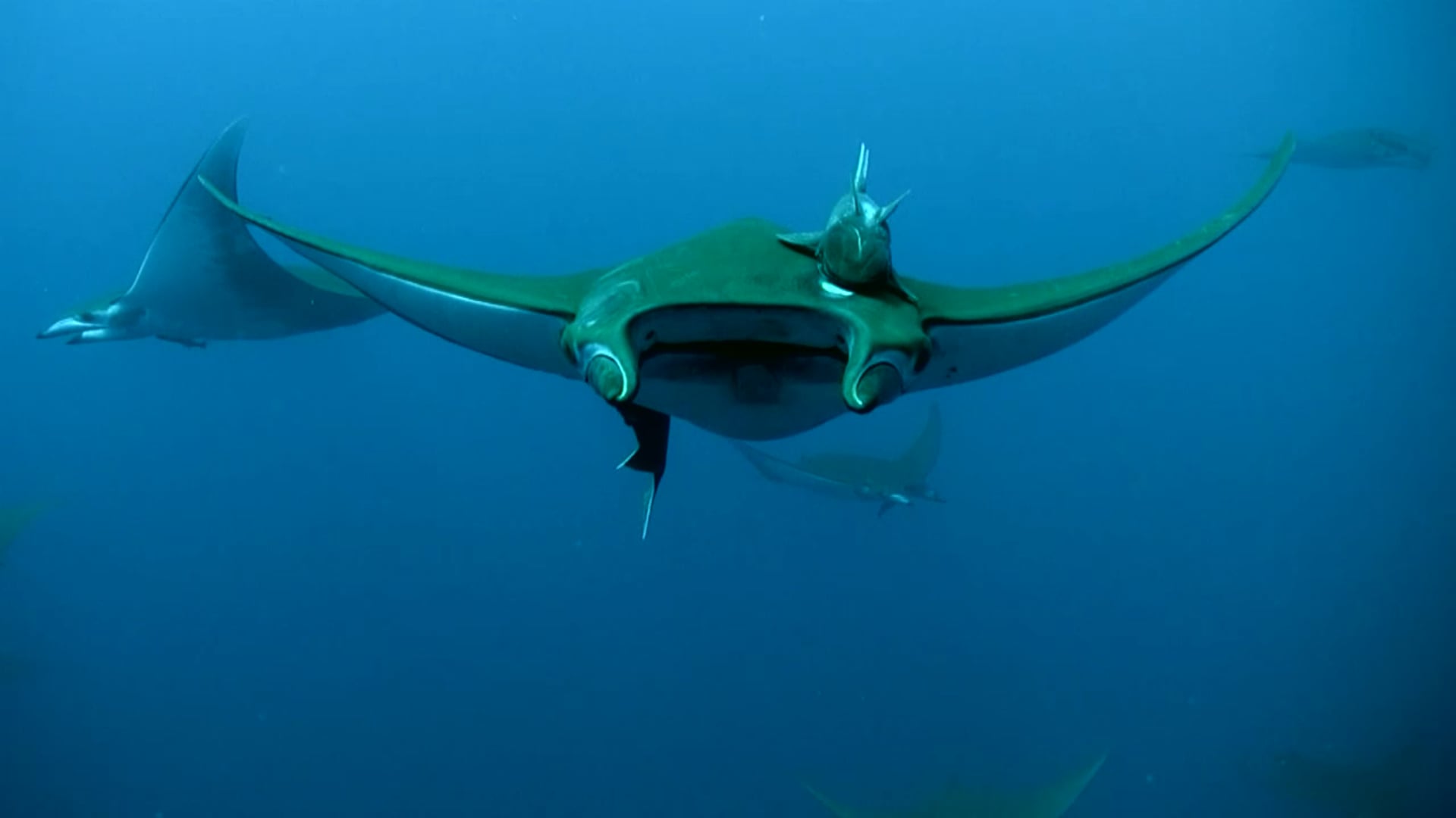 Discovering Santa Maria | Documentary