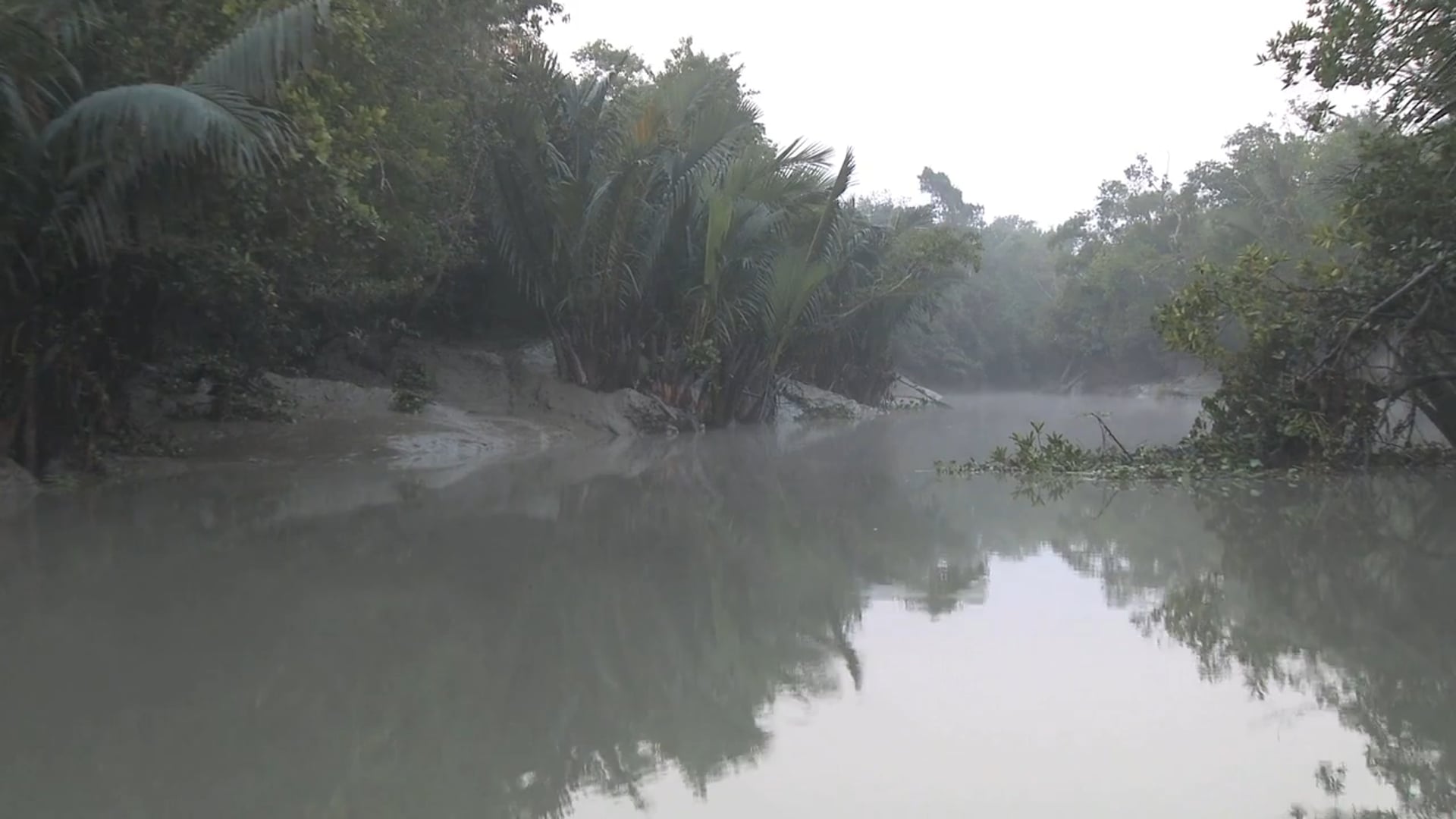 SUNDARBANS (2014)