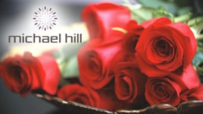 Michael Hill - Customer Success Story