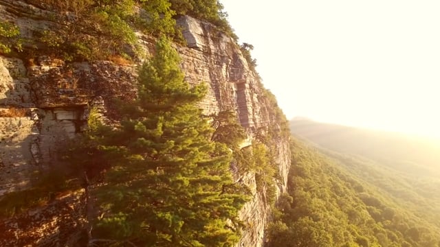 Mohonk Preserve Gala