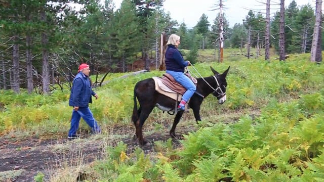 Santo & Salvo - Etna Donkey Trekking