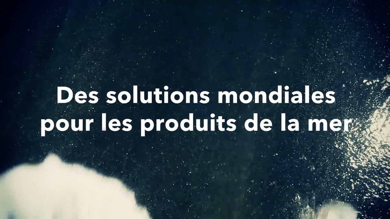 Des solutions mondiales pour les produits de la mer