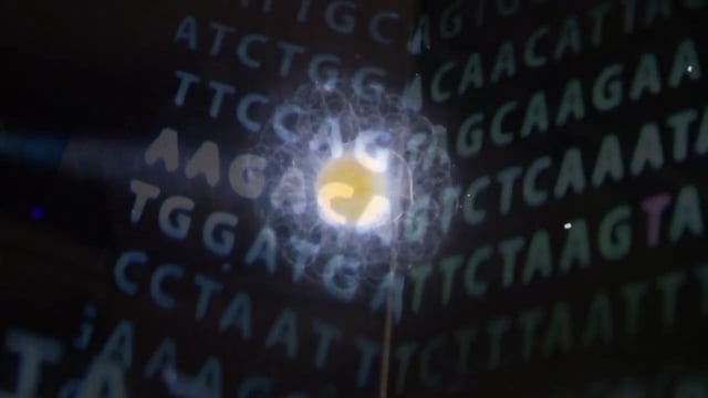 TARA OCEAN - FROM THE DEEP SEE TO DNA