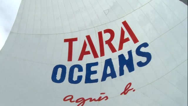 TARA BOAT - FROM LONDON TO LORIENT