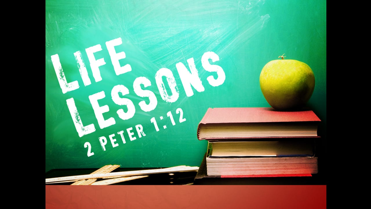 Life Lessons (Steve Higginbotham)