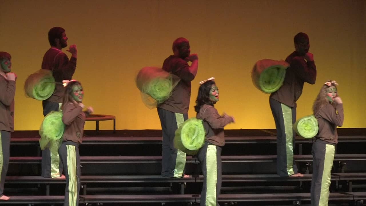 Tiger Tunes 2015 Chi Delta & Sigma Alpha Sigma Snails on Vimeo