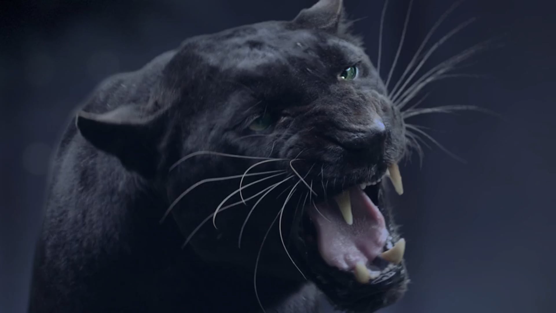 Eti Karam Gurme -Panther TVC 2015