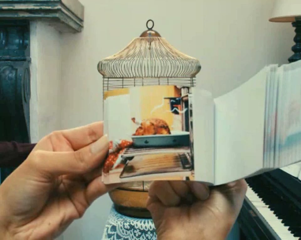 FOXcult_birdcage