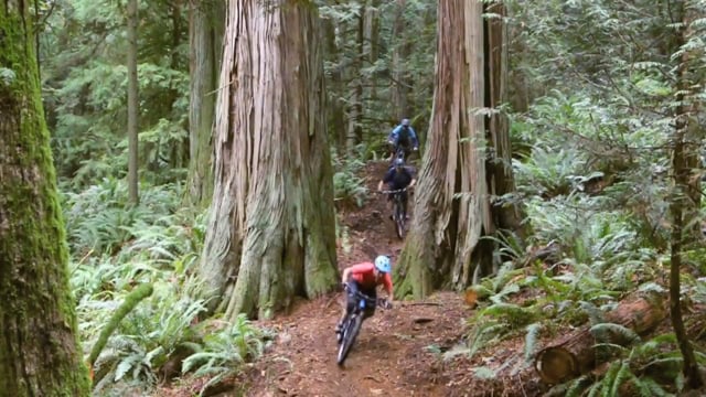 Over The Hill from Transition Bikes