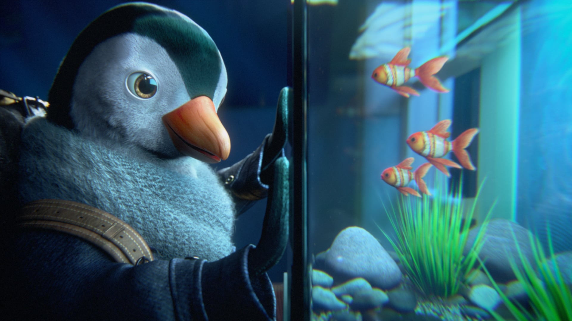 BRITISH GAS "Explore"