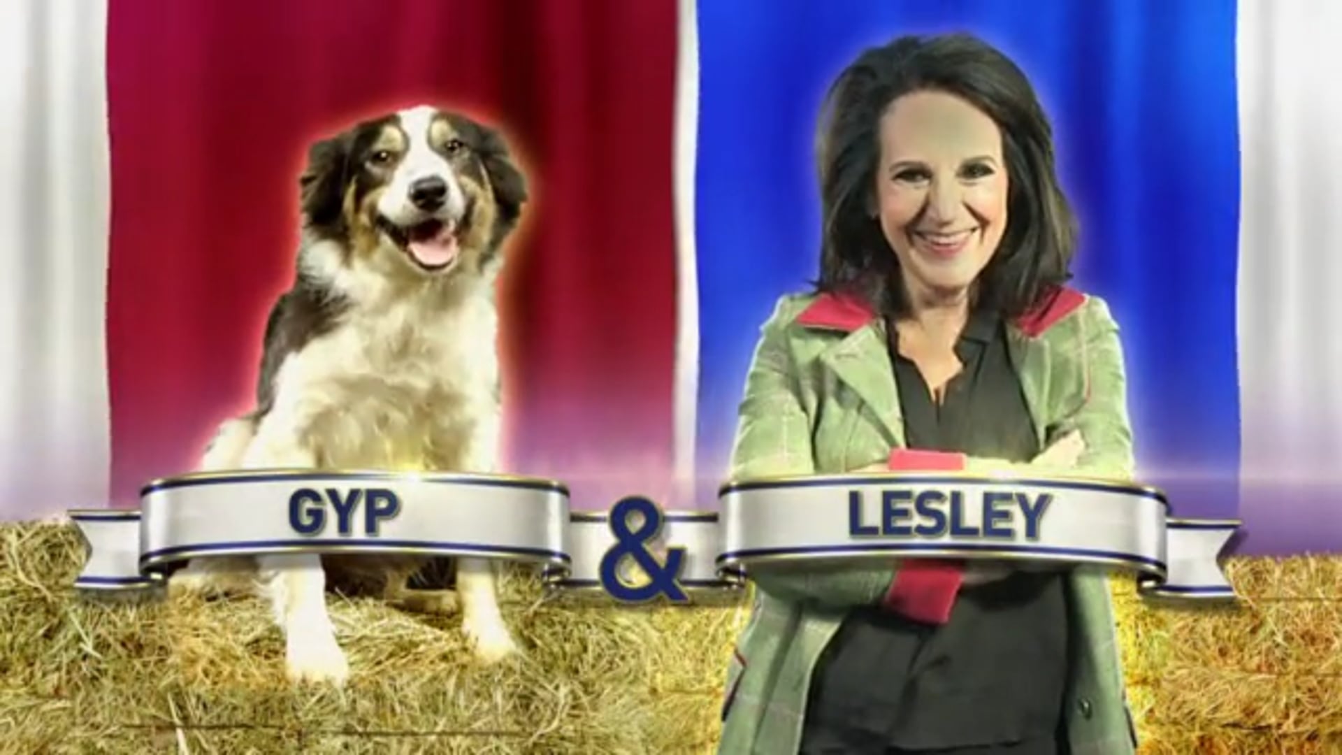 Flockstars Series 1: Lesley Joseph Training VT