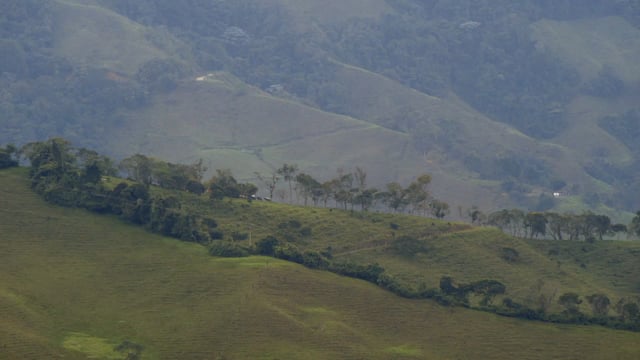 Colombia Official Trailer