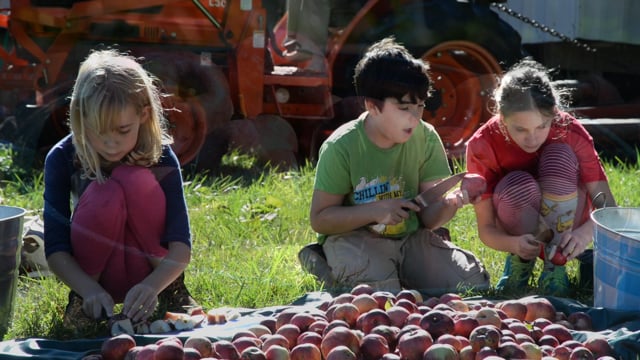Cider House Jewels