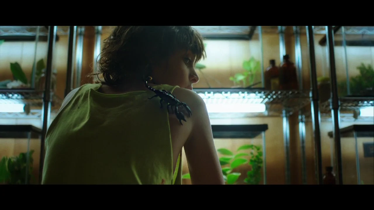 Sin Dolor | Short Film