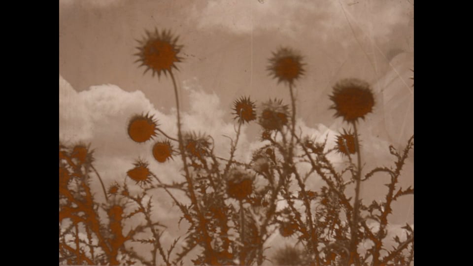Crashing Skies