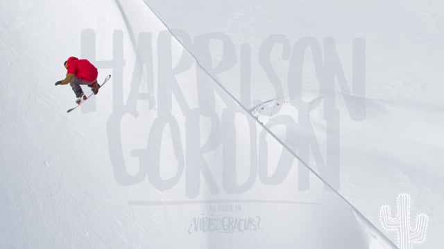 HARRISON GORDON from VIDEOGRASS