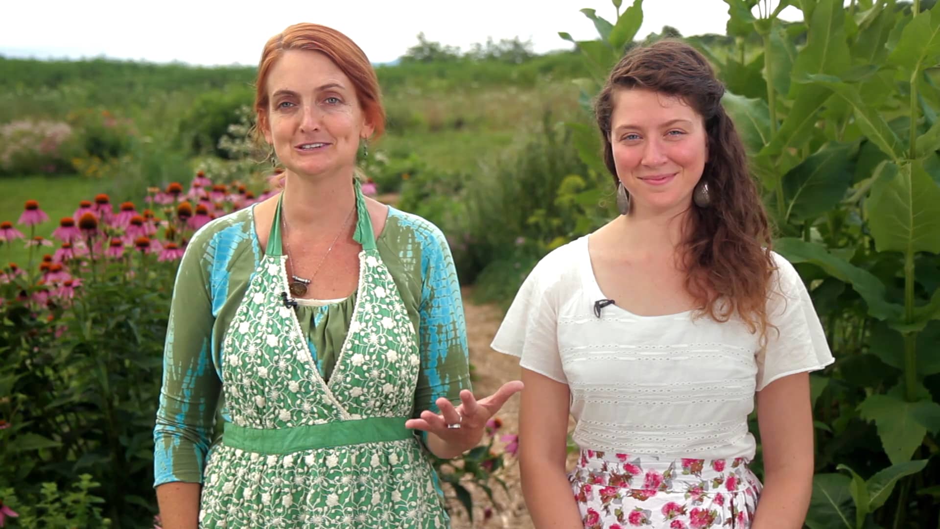 Herbal Medicine Making Course on Vimeo