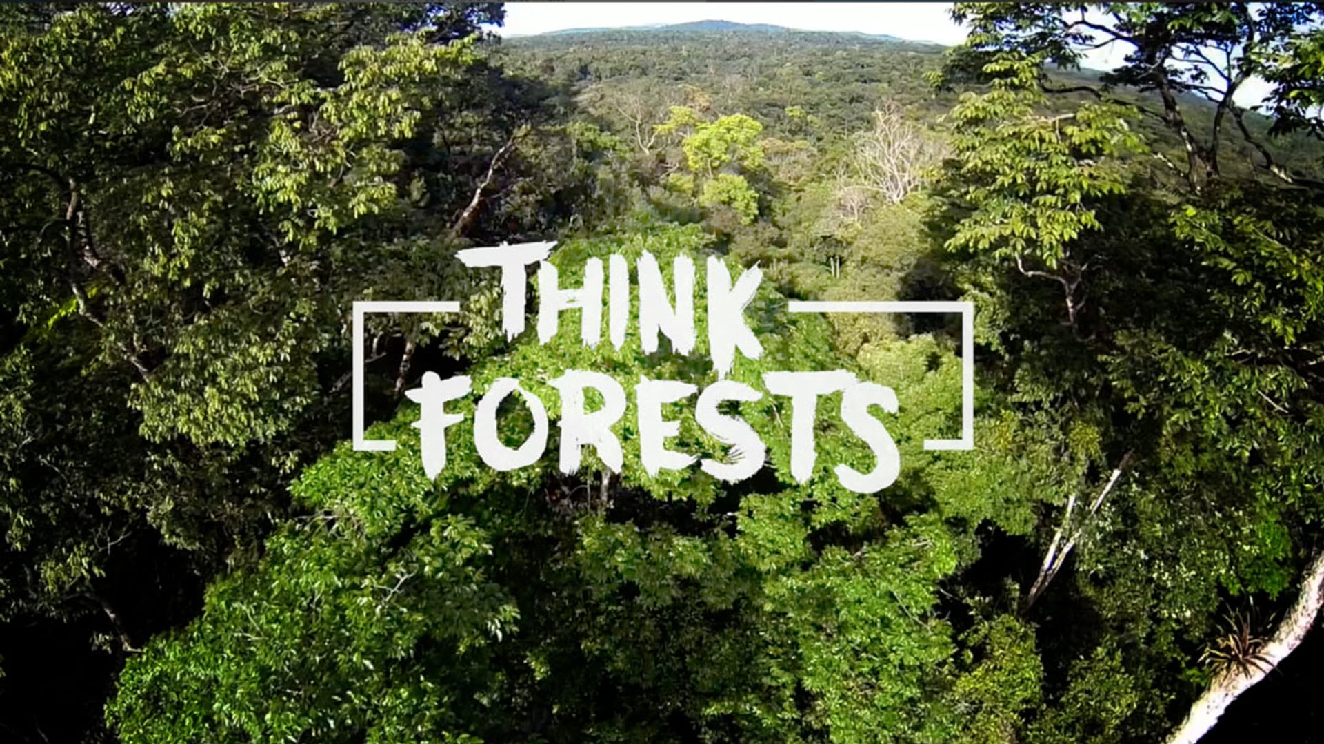think forests