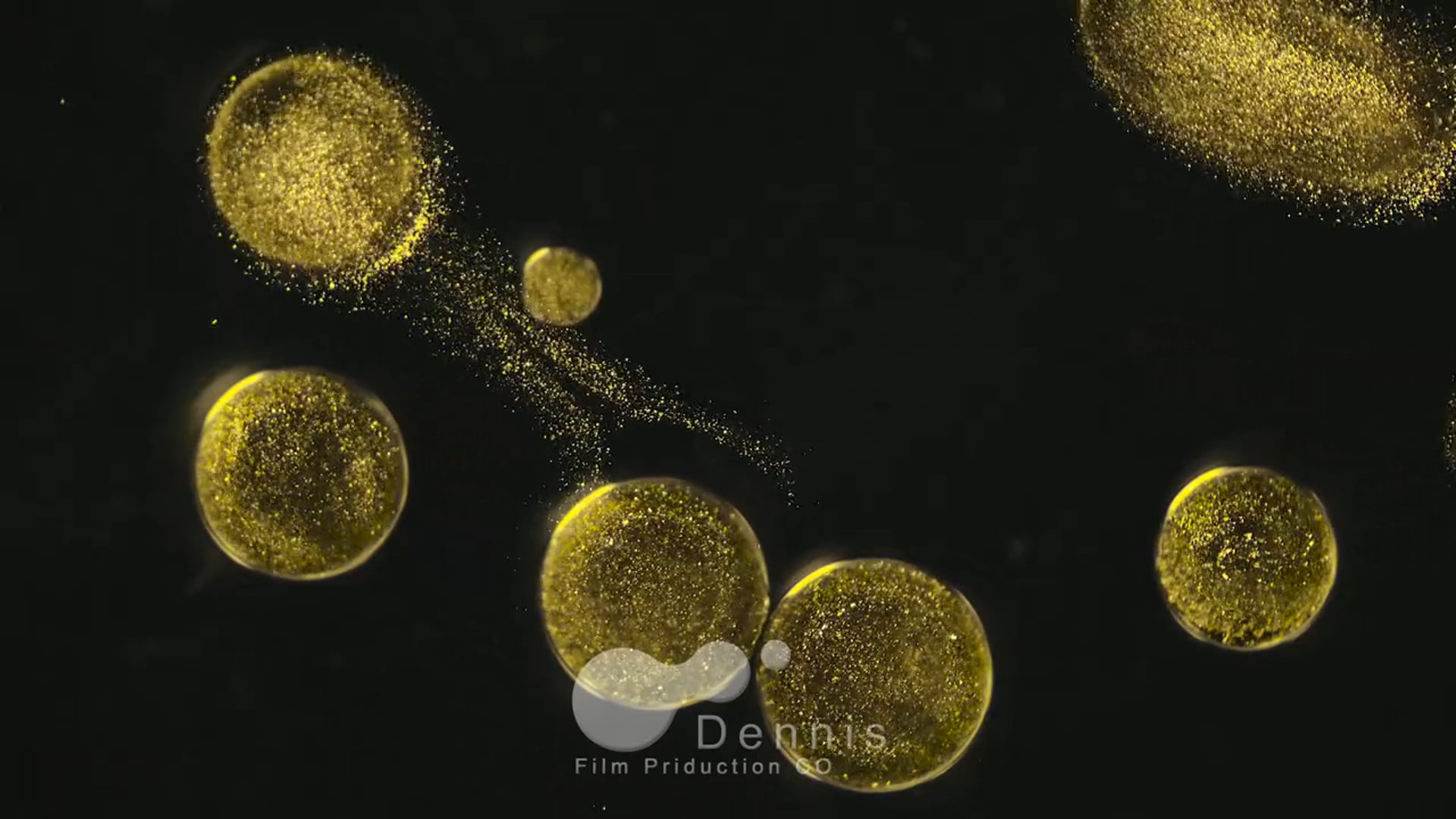 Dennisfilms LAB_no.1