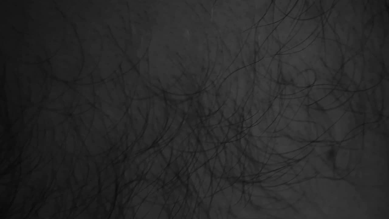 6. Internationales Kino Gieno Kabaret Dresden 2015 on Vimeo